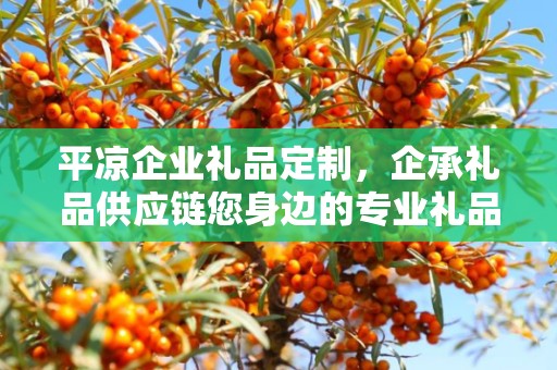 平凉企业礼品定制，企承礼品供应链您身边的专业礼品定制公司