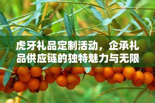 虎牙礼品定制活动，企承礼品供应链的独特魅力与无限可能